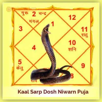 Kaalsarp Dosh Nivaran Puja