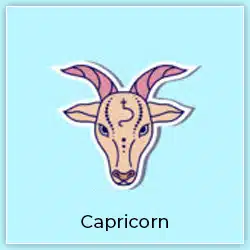 Sun Transit In Scorpio On 17 November 2023 Effects Capricorn