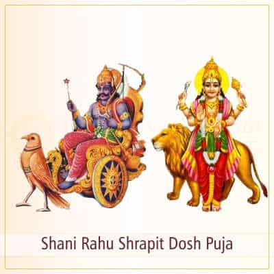 Shani Rahu Shapit Dosh Shanti Puja